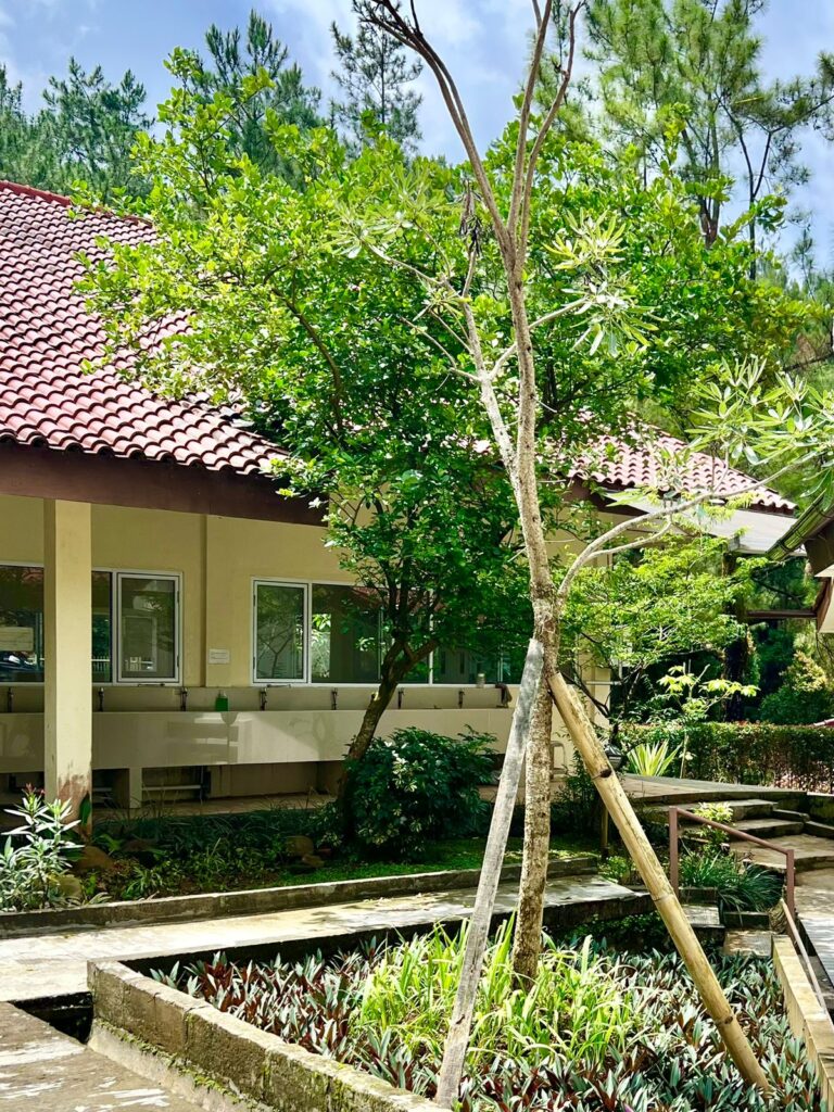 Dhamma Java Vipassana Meditation Centre Bogor Indonesia Dining Hall