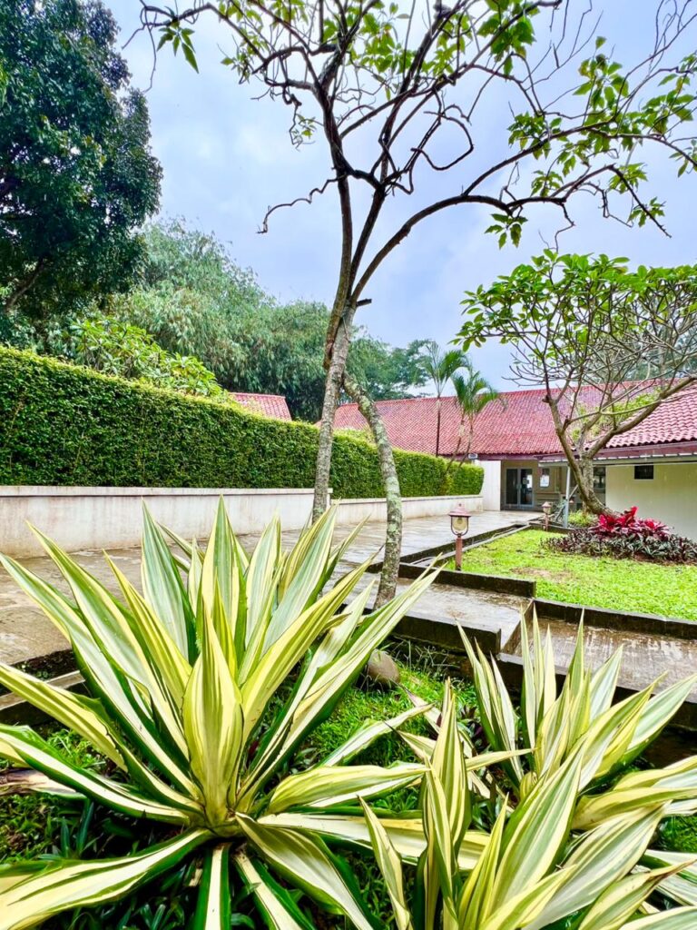 Dhamma Java Vipassana Meditation Centre Bogor Indonesia Walking path
