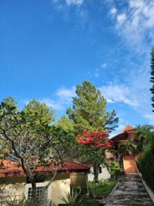 Dhamma Java Vipassana Meditation Center Bogor Indonesia garden