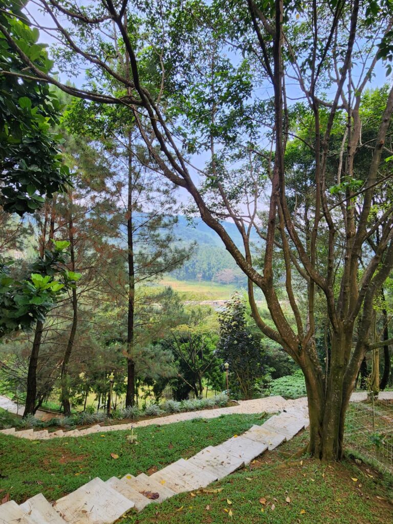 Dhamma Java Vipassana Meditation Center Bogor Indonesia