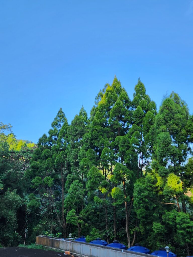 Dhamma Java Vipassana Meditation Center Bogor Indonesia