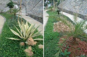 Dhamma Java Vipassana Meditation Center Bogor Indonesia walking area male