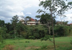 Dhamma Java Vipassana Meditation Center Bogor Indonesia
