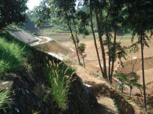 Dhamma Java Vipassana Meditation Center Bogor Indonesia